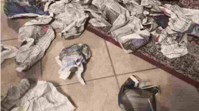 Test visivo dell'intruso nascosto