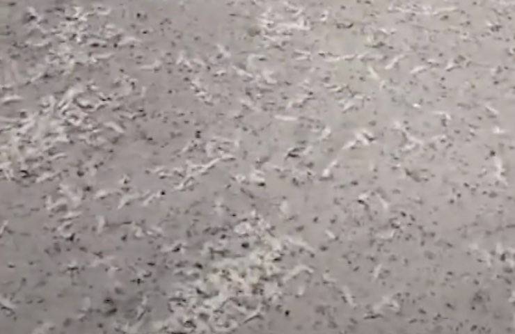 pioggia ricopre strada asfalto 