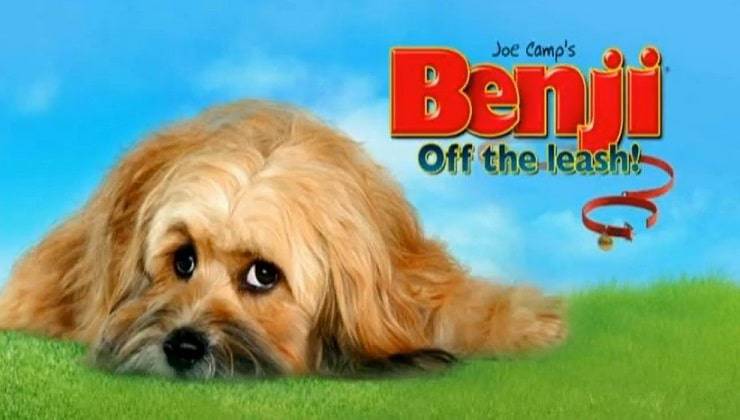 Benji Off the Leash 