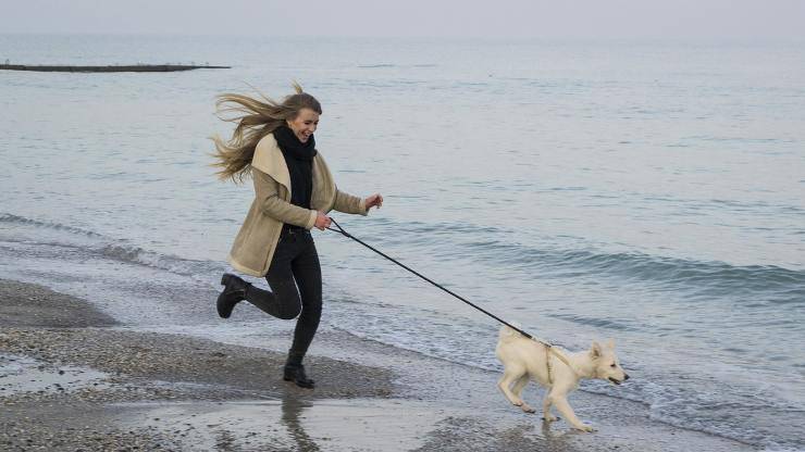 cane al mare 