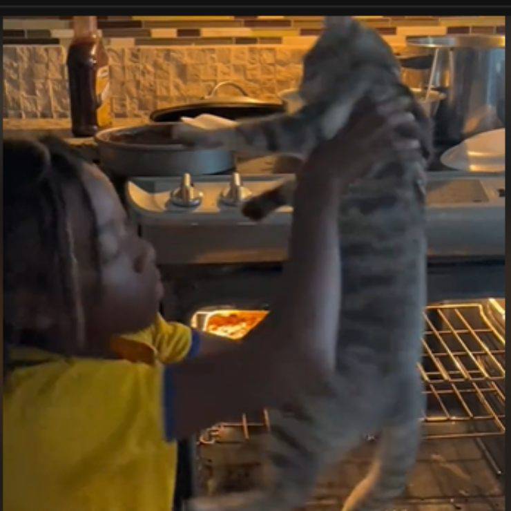 gato horno niño cocina