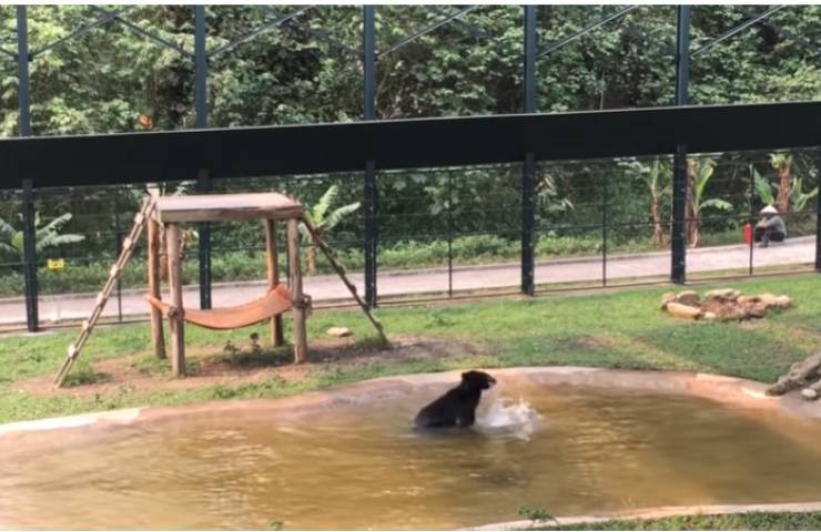 tuffy orso libertà tortura