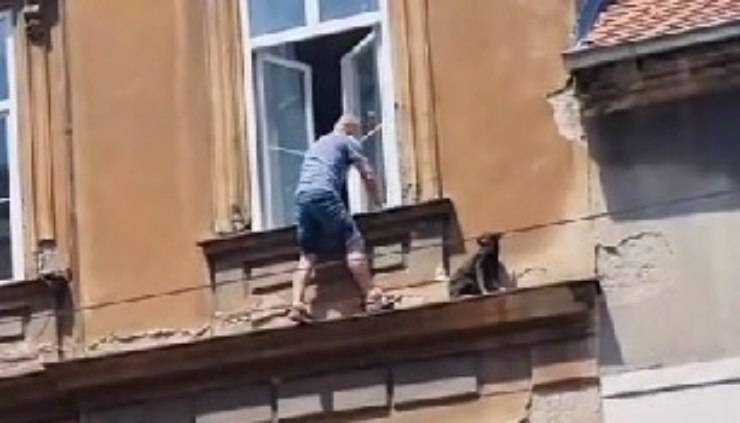 uomo tenta di salvare un cane