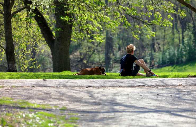 Cane e uomo riposano all'ombra
