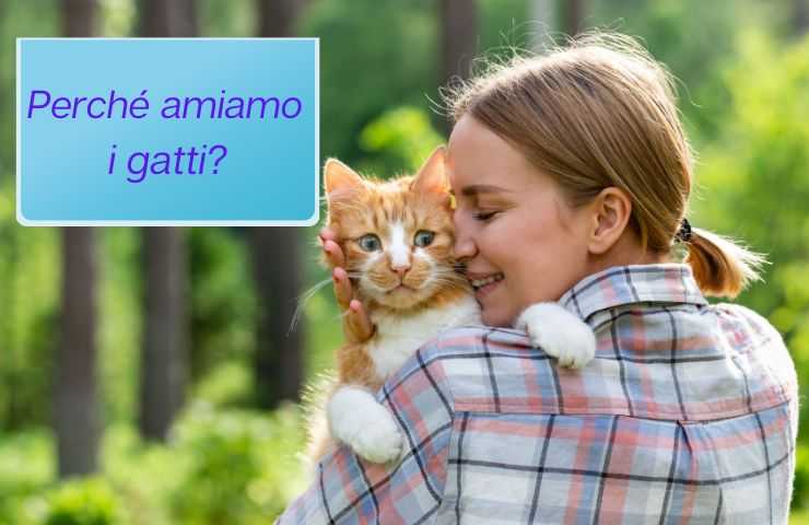 Donna adora il gatto