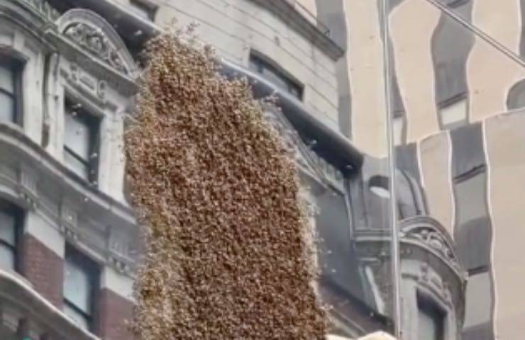 api invasione grande mela 