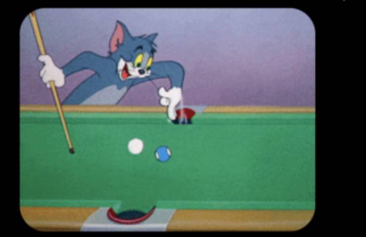 gatto paragonato Tom Jerry 