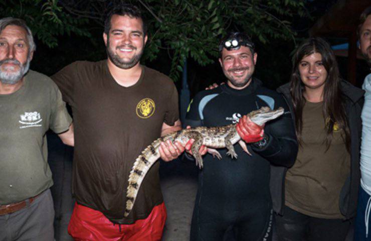 alligatore lago privato fattoria 