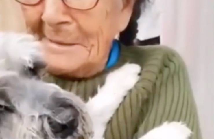 104 anziana signora cagnolino 