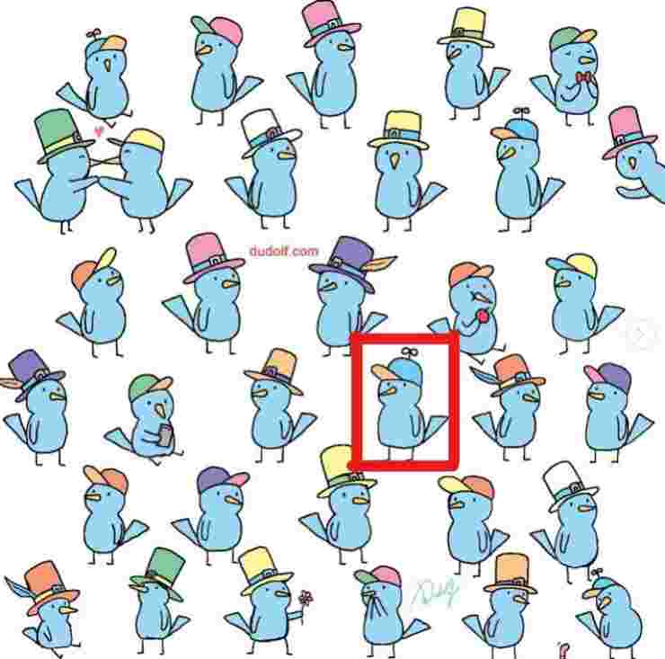 Soluzione test uccellini