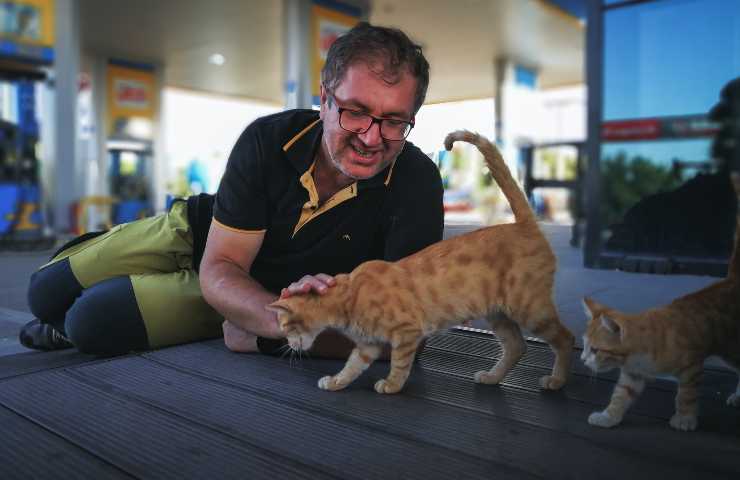 Uomo accarezza il gatto 