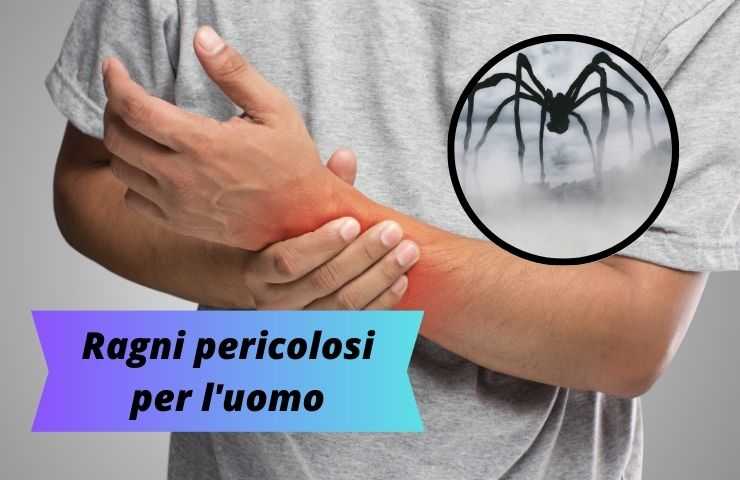 Uomo morso dal ragno