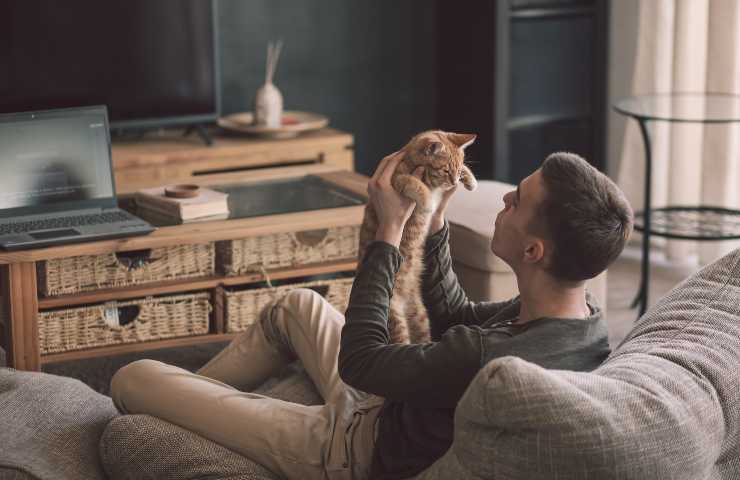 Uomo prende tra le mani il gatto