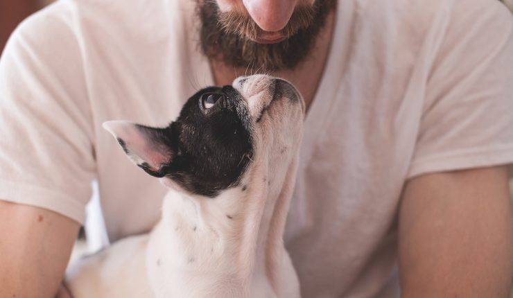 cane in braccio a uomo 