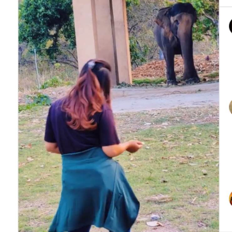 ragazza elefante ballano insieme