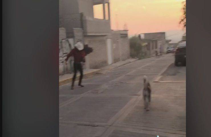 Riceve una sorpresa dall'altra parte del mondo, ma il suo cane rovina tutto