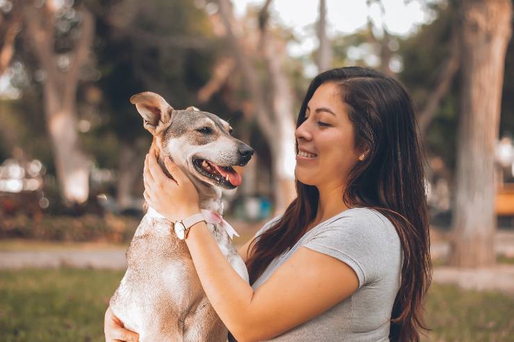 Scegliere cane maschio o femmina