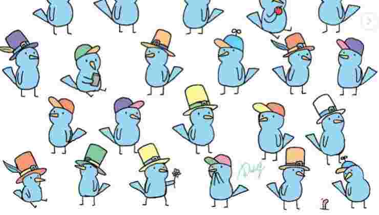 test uccellino diverso 