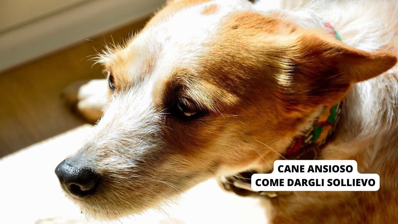 dare sollievo a un dolore