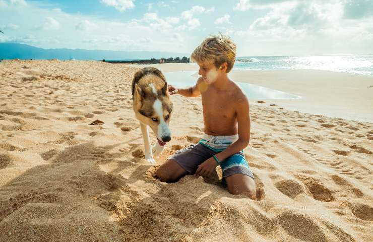 perro y bebe en la playa