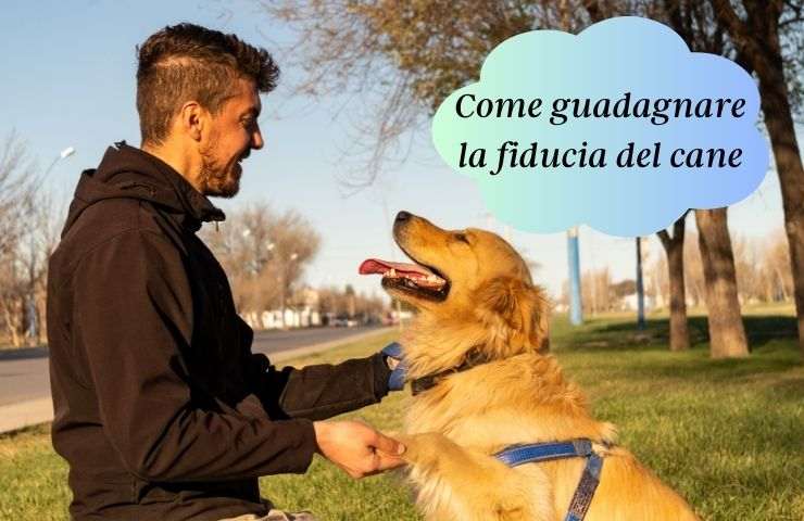 Come conquistare la fiducia di Fido