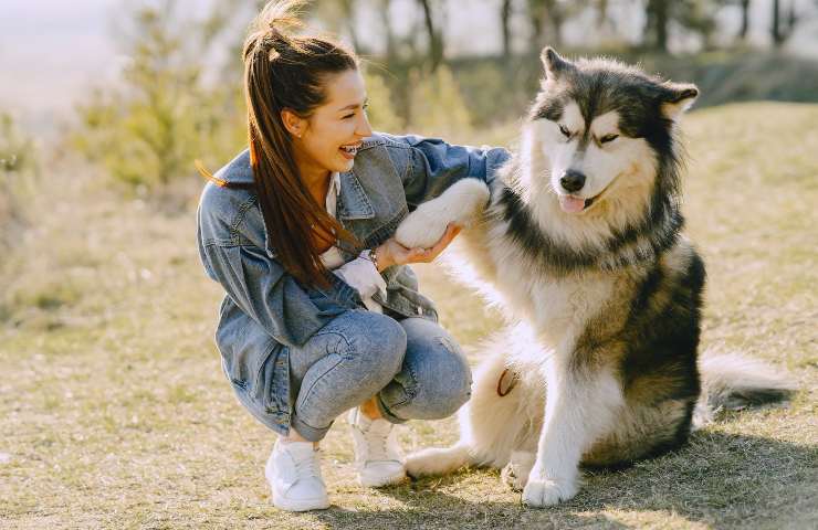 Cane felice con la sua padrona