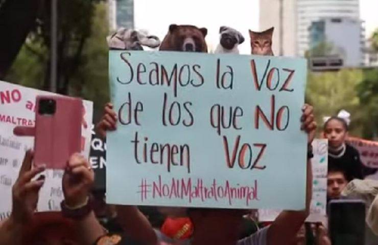 manifestazione contro abuso animali