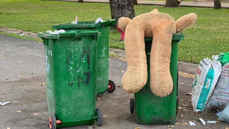 cane dentro cassonetto