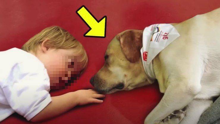 clark e lycy bambino e cane