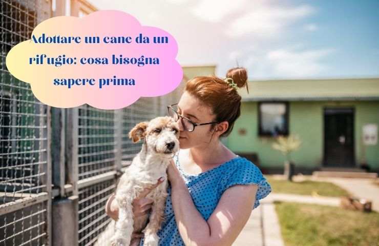 Donna adotta un cane dal canile