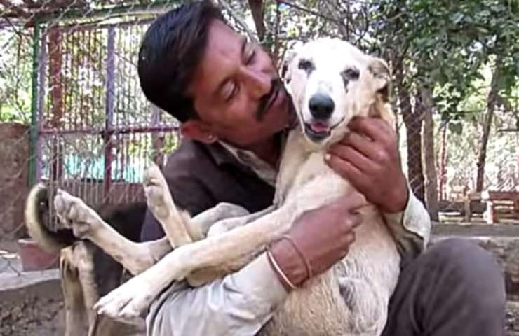 Incastrata tra le sbarre di un cancello