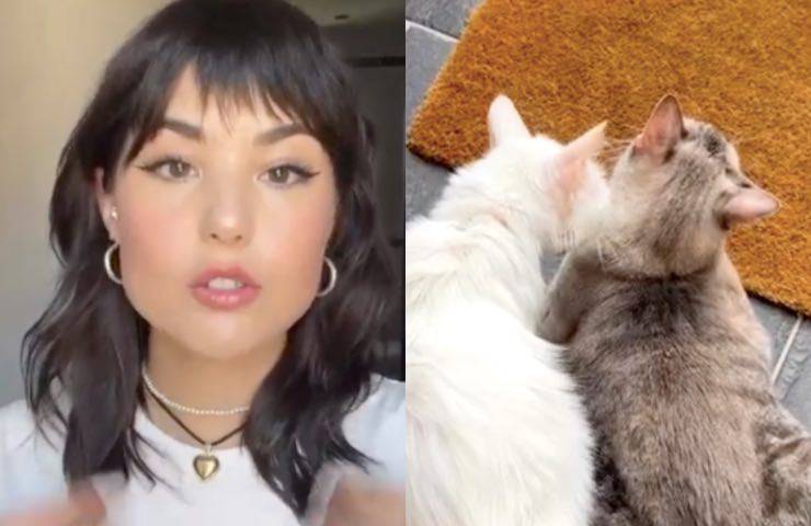 giorgia affidamento mici separazione 