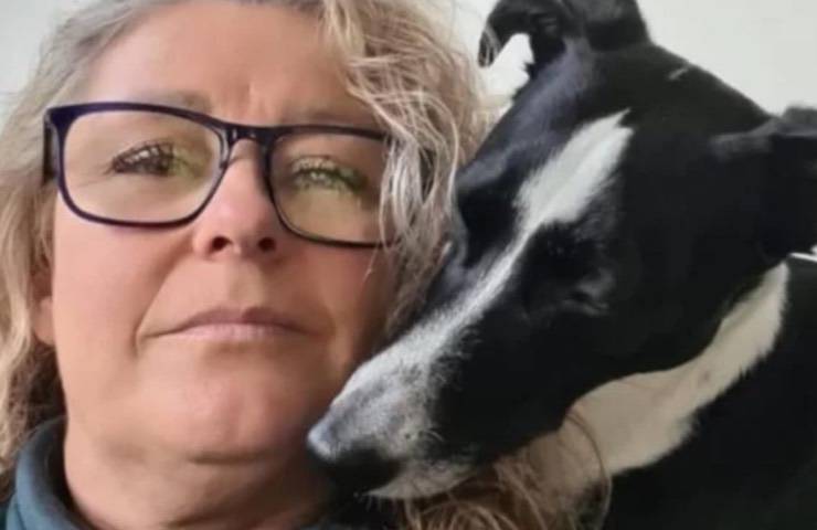 cagnolina mamma umana greyhound