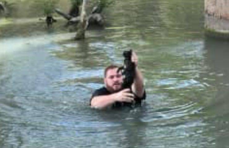 gatto recupero eroico gesto 