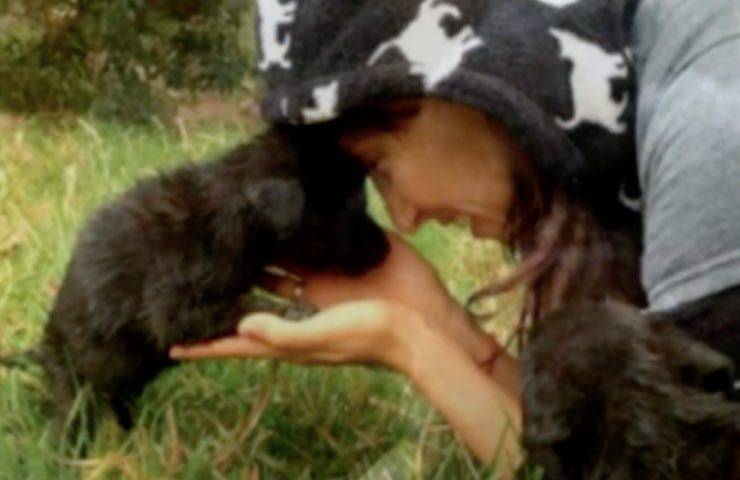 cuccioli reazione salvataggio amore 