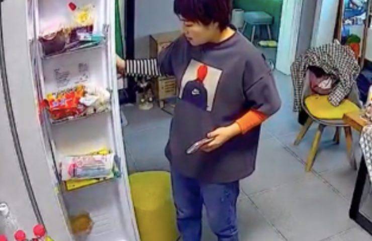 gatto curioso padroncina scoperta 