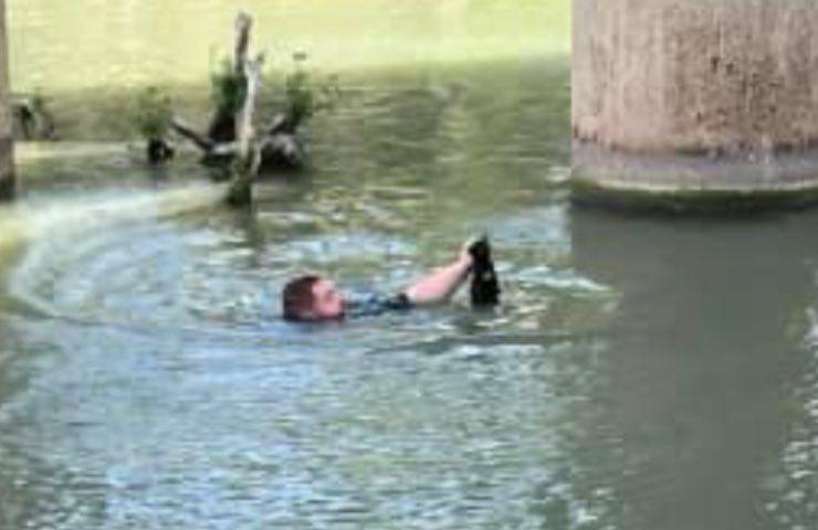 gattino acqua salvataggio divisa 