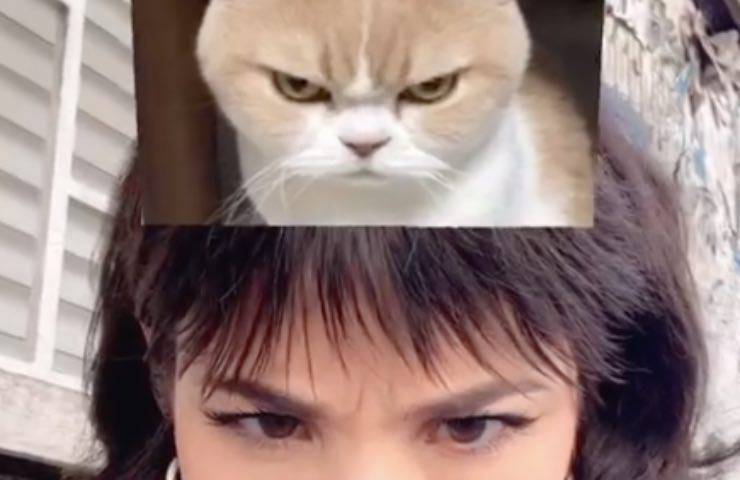 giorgia attesa autobus decisione 