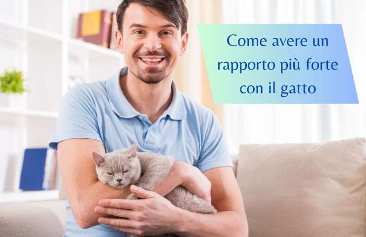 Legame tra uomo e gatto