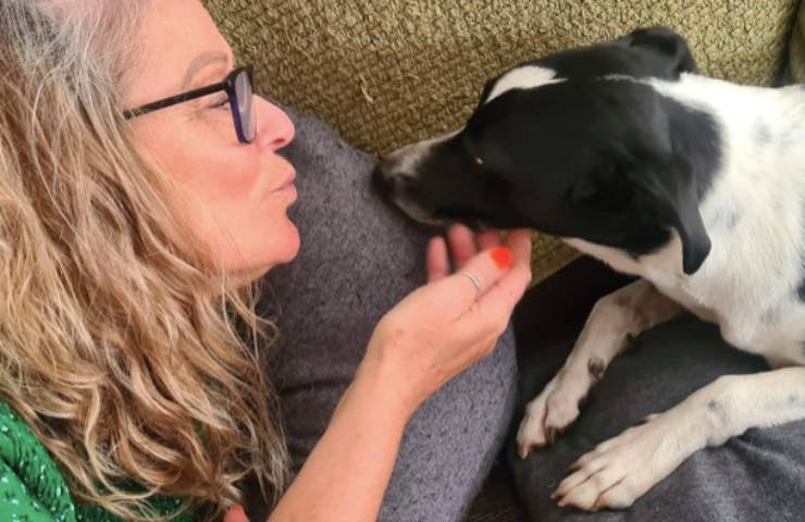 cagnolina salva vita cancro