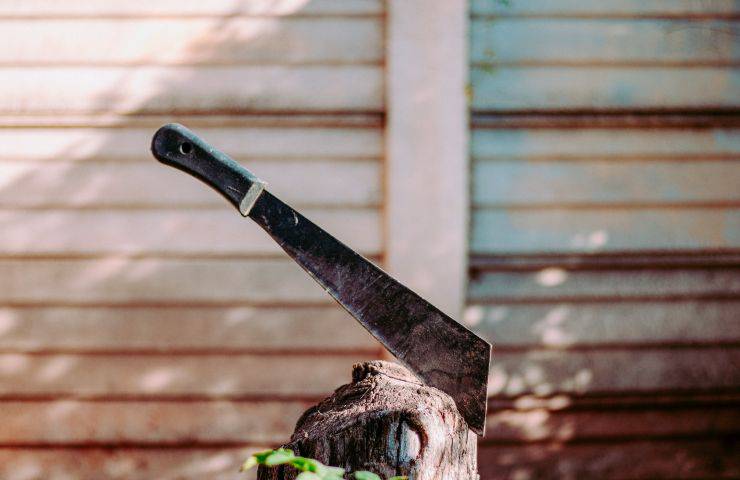 Cane aggredito con un macete senza alcun motivo