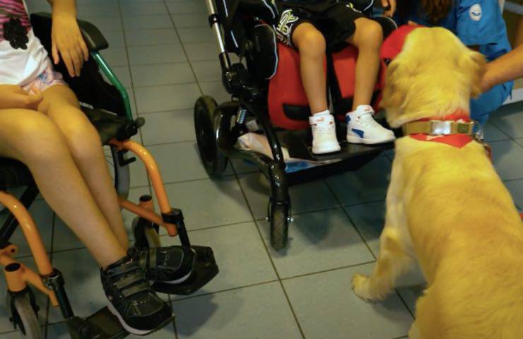 cani bambini cura neuroriabilitazione 