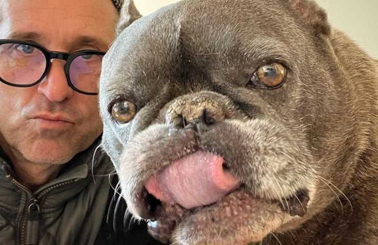 cani patrick dempsey