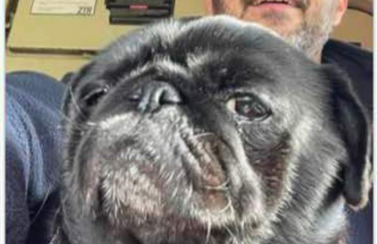 carlino salvato da macchinista