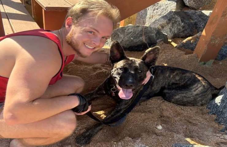 Spara due colpi di pistola in faccia al cane le sue devastanti condizioni