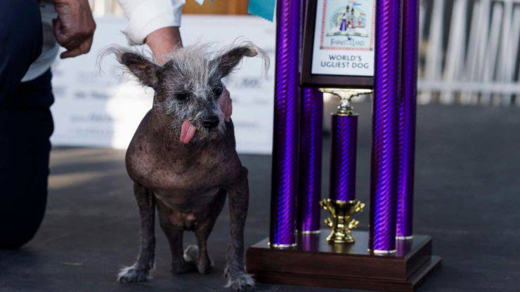 cane più brutto