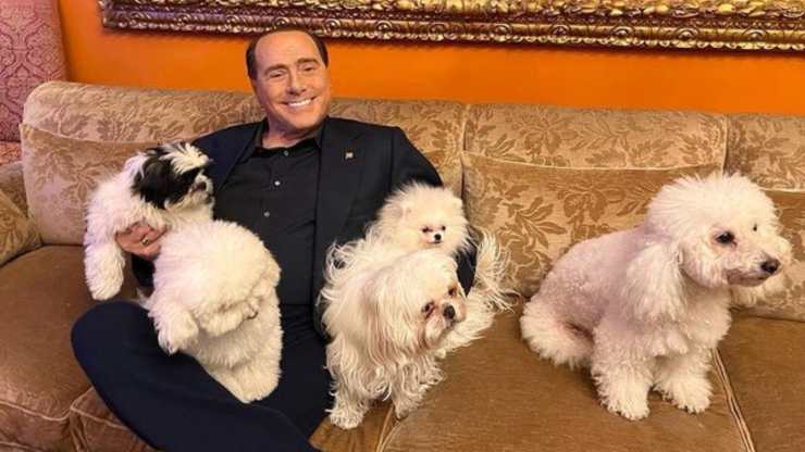 Silvio Berlusconi con i suoi cani