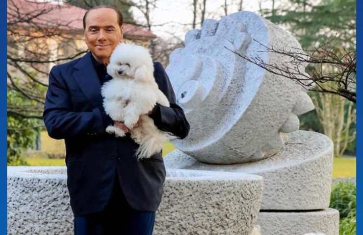 Zoológico de Berlusconi