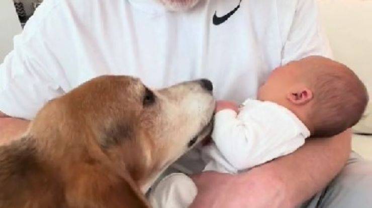 cane da bacini neonato