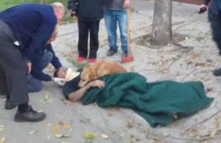 cane abbraccia padroncino difficoltà 